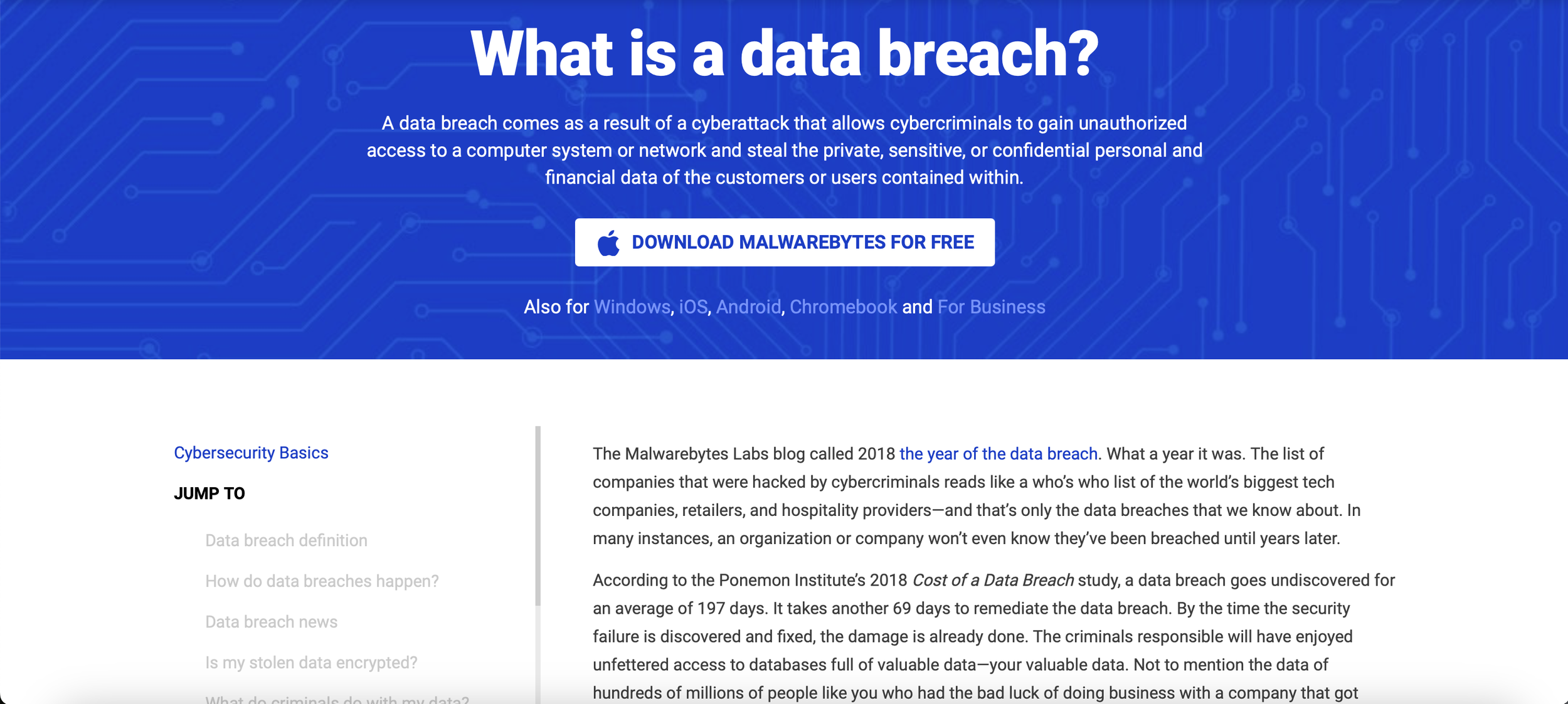 What is a data breach pillar page